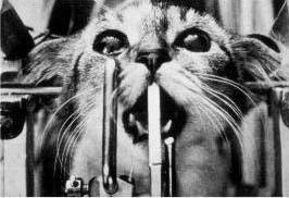 ���أ��Ҳ��̶õĶ���ʵ�����Ƭ��ͼ��